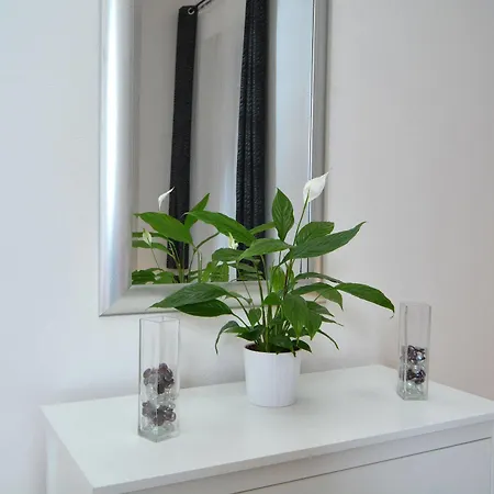 Apartment Amadeus Prague
